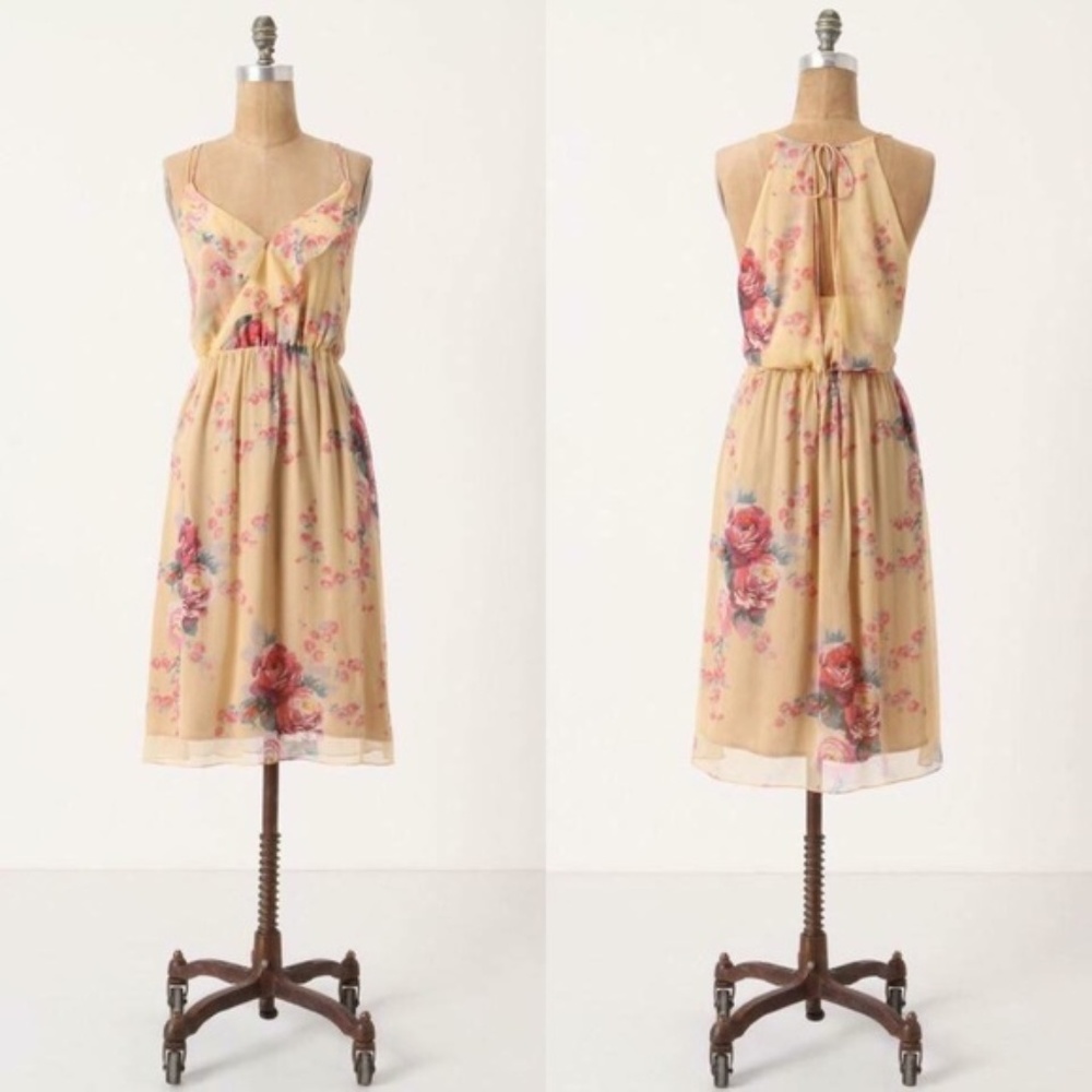 Meadow Rue floral dress from antho Sz 4